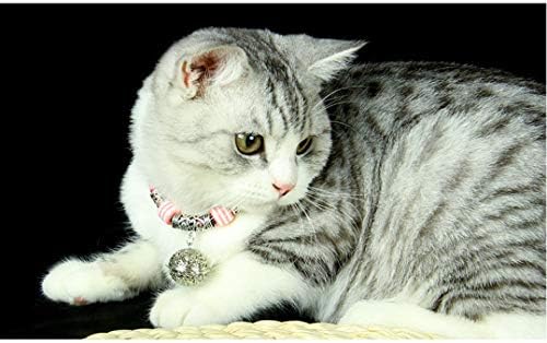 צווארון לחיות מחמד מתכוונן לכל החתולים עם פעמון כסף כדי להגן על בריאותם ואריכות ימים של חתולים אריגה