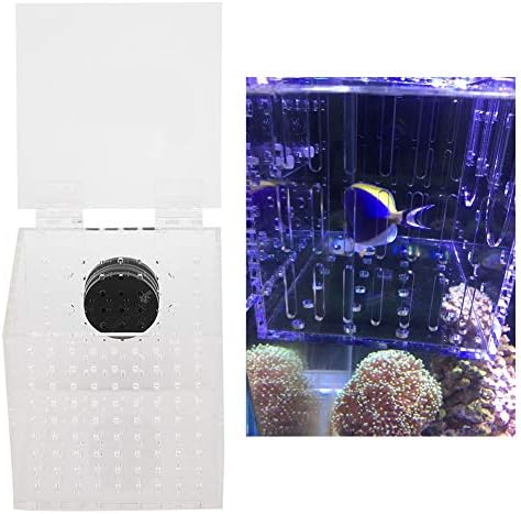 תיבת גידול דגים, אקריליק מגנטי אקווריום דגי רבייה בידוד תיבת עבור תינוק דגי מדגרת חממת כלוב