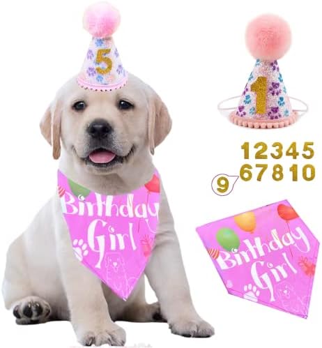 כובע בנדנה של יום הולדת לכלב עם מספר מסיבת יום הולדת כלב ציוד בנדנה כלב לילדה ילדה כלבלב כובע יום הולדת