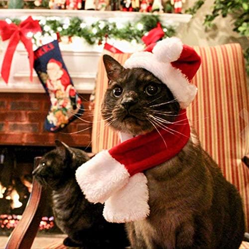 כובע חיות מחמד לחג המולד של Bifowit ומערכת צעיף לחתולים וכלבים סט חיות מחמד קטנים