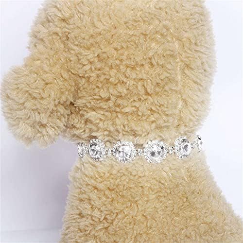 צווארון כלבים לכלבים קטנים עניבת פרפר זכר אופנה מחמד חיות מחמד צווארונים