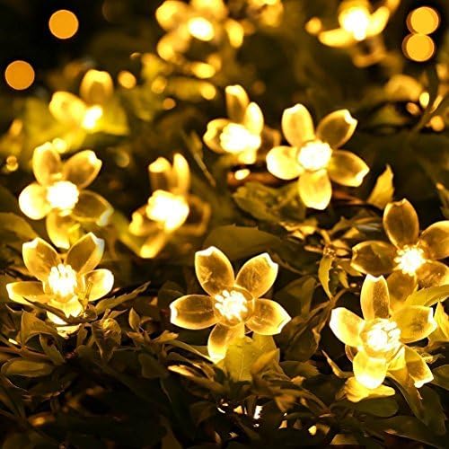 פיות אורות חג המולד דקורטיבי פרח מחרוזת אורות 33 רגליים 100 נוריות, 8 מצבי פלאש עם זנב תקע לחיבור דובדבן