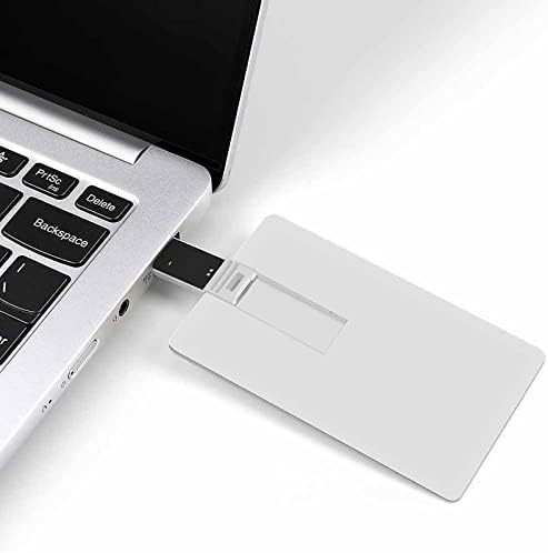 SHARK SURF USB כונן פלאש עיצוב כרטיסי אשראי USB כונן פלאש מפתח מקל זיכרון מותאם אישית 32 גרם
