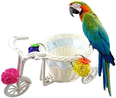 Hwangli Mini אופניים עגלת קניות עגלת קניות ציפור תוכי צעצוע מודיעין חיות מחמד צמיחה ראטאן כדור - צבע