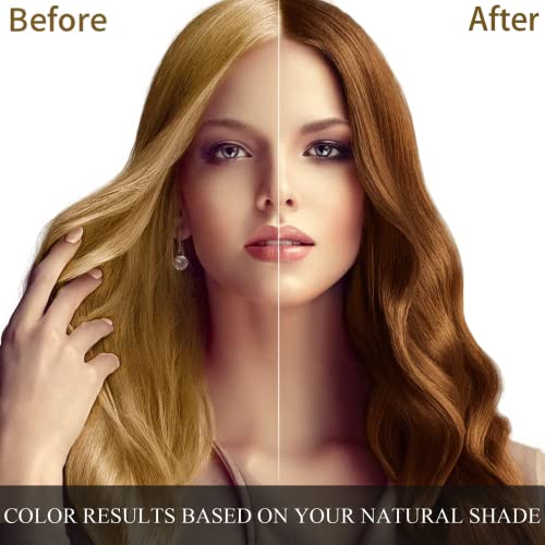 שמפו צבע שיער בהיר חום בהיר, שמפו צבע שיער 3 ב -1 לנשים וגברים, צביעת שיער מיידי, קל לשימוש ומיועד ארוך