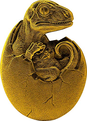 2021 דה בקע Powercoin velociraptor דינוזאור תינוק מוזהב 2 עוז מטבע כסף 10000 פרנק צ'אד 2021 גימור עתיק