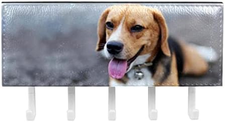 ביגל כלב יושב על מארגן מתלים חמוד עם 5 ווים מדף מדף מטבח קיר מדף אחסון רב -פונקציונלי