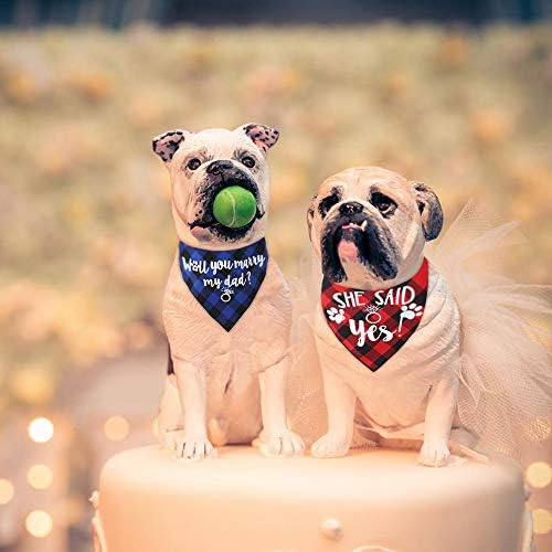 בנדנה חתונת כלב JPB למסיבת אירוסין 2 חבילה