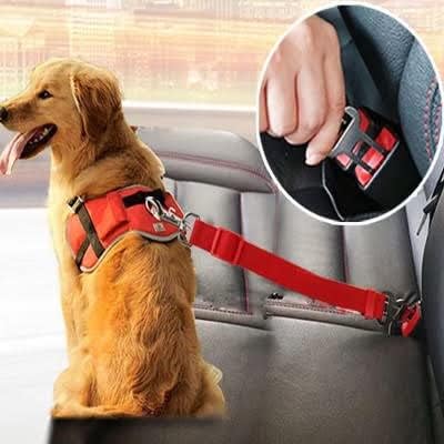 444 LTD חגורת בטיחות כלבים פרימיום למכוניות - רתמת מכוניות כלבים מתכווננת, חזקה ועמידה